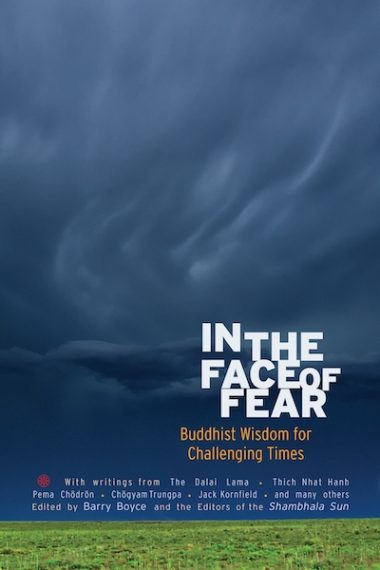 In the Face of Fear: Buddhist Wisdom for Challenging Times