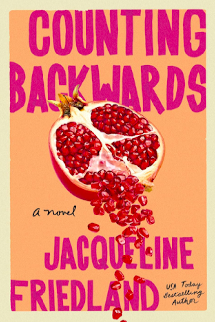 Counting Backwards: A Novel