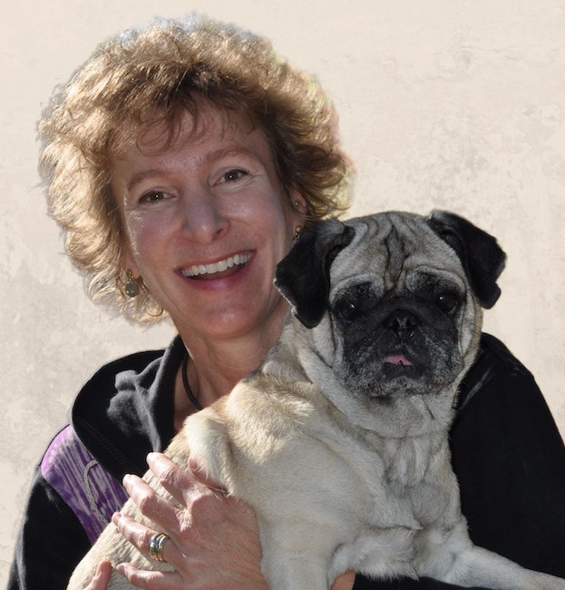 Author Q& A With Jean M. Alfieri
